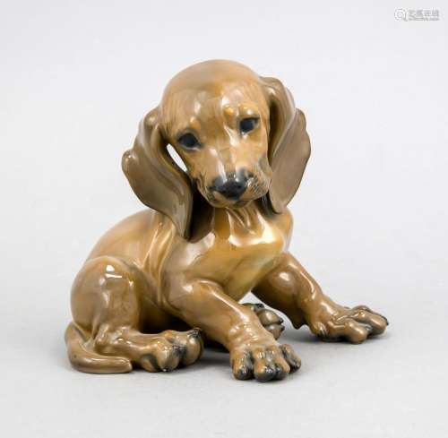 Sitting dachshund puppy, Rosenthal, mark 1934-1956, design Prof. Th. Kärner