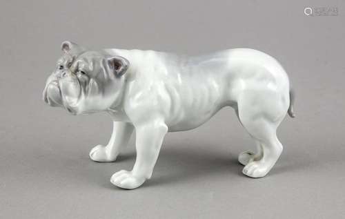 Bulldogge, wohl Deutsch, um 1920, H. 8,5 cm, L. 16 cm