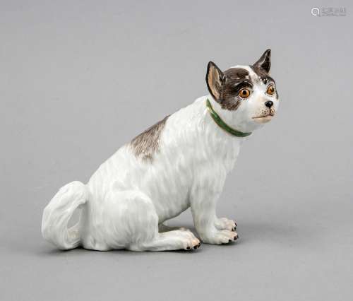 Large figure, Meissen, 20th century, 1st choice, sitting dog with green col