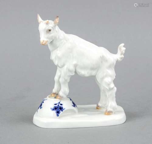 Goat on bowl, Meissen, stamp after 1950, 1st quality, Little goat standing