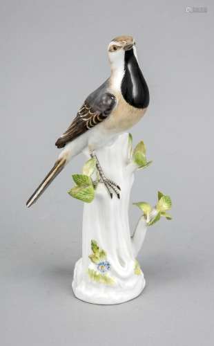 Wagtail on trunk, Meissen, mark after 1934, 1st quality, designed by Johann