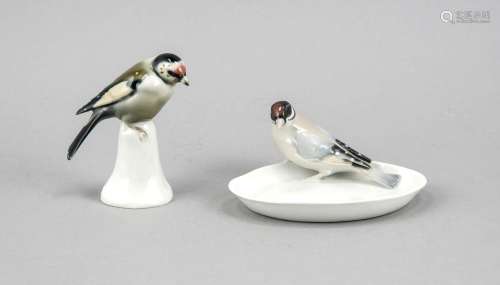 Two birds, Thuringia, 20th cent., Finch on a bowl, Metzler and Ortloff, Ilm
