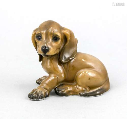 Sitting little dachshund puppy, Rosenthal, brand after 1975, design Georg K