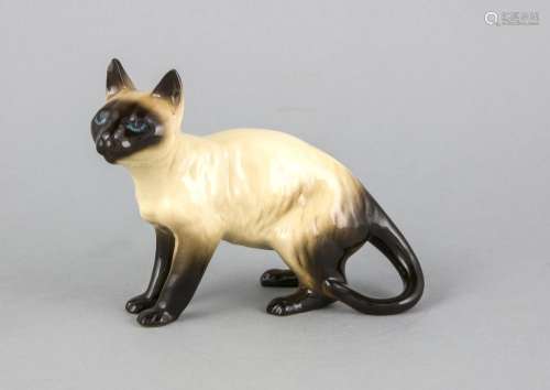 Siamese cat, England, 20th century, ceramic, colorfully painted in naturali