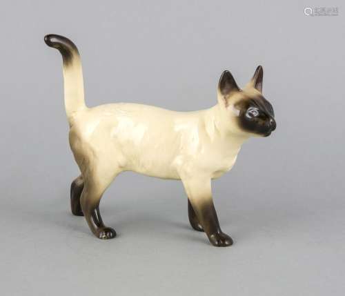 Standing Siam Cat, England, 20th century, ceramic, colorfully painted in na