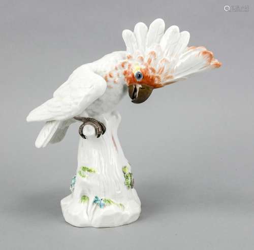 Cockatoo on a branch, Meissen, mark after 1934, 1st quality, designed by J.