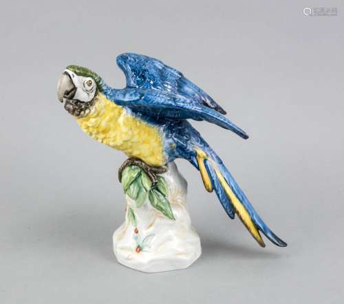 Macaw on a branch, Schaubach, Unterweißbach, Thuringia, mid-20th century, p