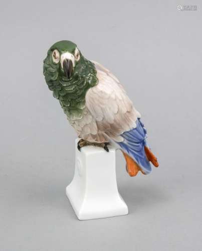 Parrot, Rosenthal, Selb, 1920s, designed by Dorothea Moldenhauer (1879 Drei