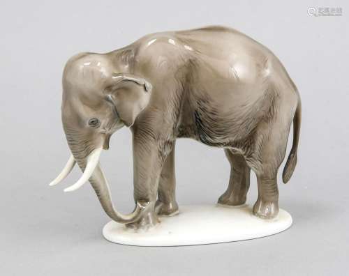 Indian elephant, Rosenthal, mark for Selb 1938-56, design Theodor Kärner (1