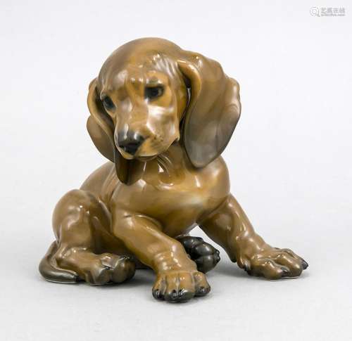 Sitting dachshund puppy, Rosenthal, mark after 1975, design Prof. Th. Kärne