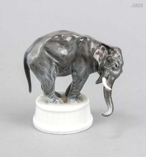 Elephant on pedestal, Rosenthal, Selb, 1920s, designed by Fritz Diller (187