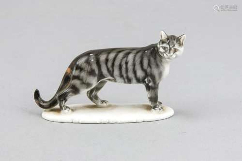 Tiger cat, Rosenthal, mark for Selb 1921-38, model no. 58, standing tiger c