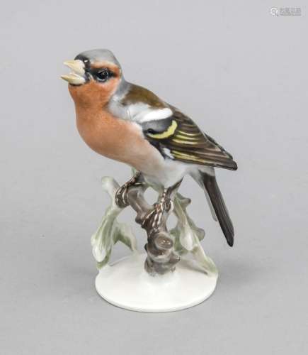 Finch on a branch, Rosenthal, mark of the art department in Selb 1934-56, d