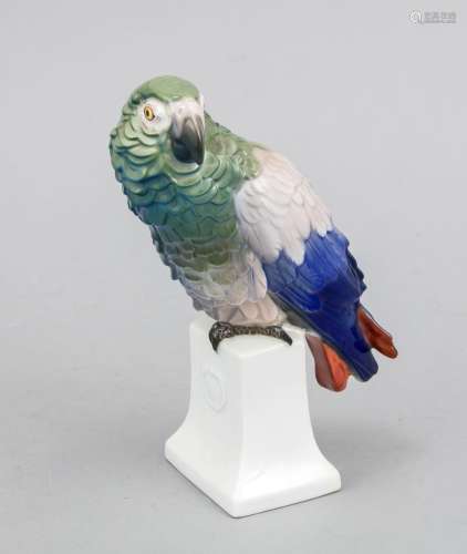 Parrot, Rosenthal, Selb, 1920s, designed by Dorothea Moldenhauer (1879 Drei