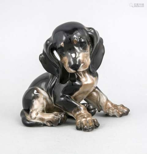 Sitting dachshund puppy, Rosenthal, mark 1934-1956, design Prof. Th. Kärner