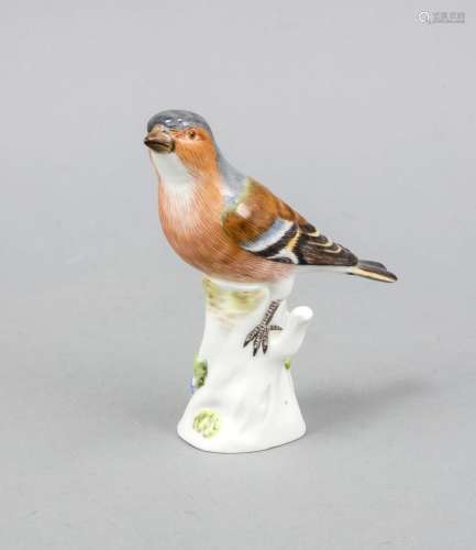 Chaffinch, Meissen, ca. 1980, 1st quality, designed by Johann Joachim Kändl