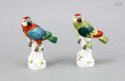 Two parrots, Meissen, 1st quality, 1 parrot on branch, mark 1850-1924, leav