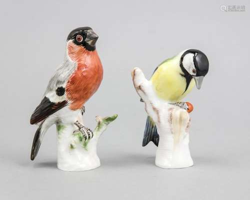 2 birds, KPM Berlin, around 1920, red artist's mark, bullfinch, colorful pa