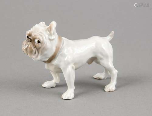 Bulldogge, Bing & Gröndahl, 20.Jh., sparsam staffiert, H. 8 cm