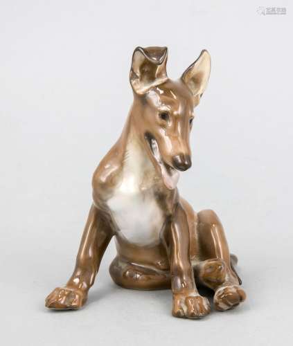 Young, sitting German Shepherd Dog, Rosenthal, mark after 1957, design Theo