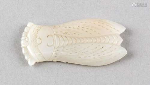Jade Cicada, China, 19th cent., Very finely executed on both sides, L. 6 cm