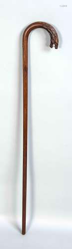 A walking stick around 1900, smooth shaft, predator head handle with glass