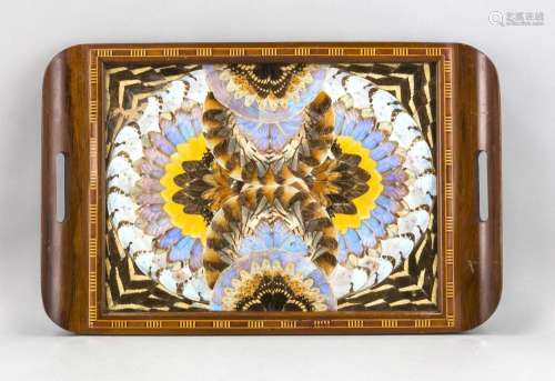 Tray, Brazil, 20th cent., Mirror with ornament of wings of different butter