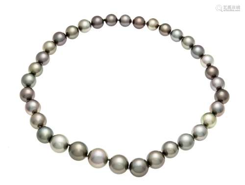 Tahitian pearl necklace with Fa. Nittel patent buckle in a Tahitian pearl,