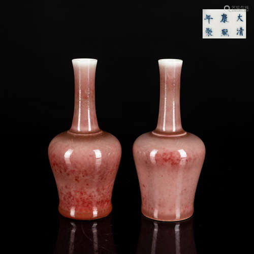 A Pair of 18th Kangxi Mark Vase