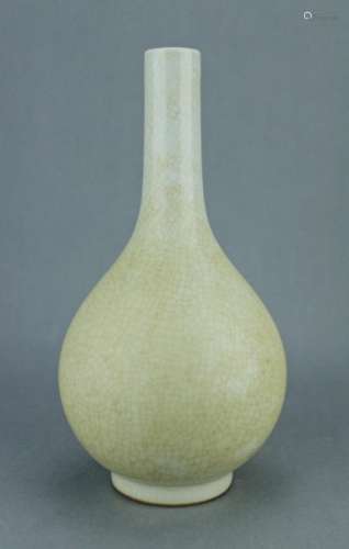 Ming Porcelain Crackle Vase