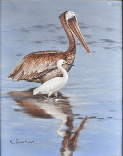 S. Robertson oil on canvas, a brown pelican with its young, framed and signed to the lower left 55 x