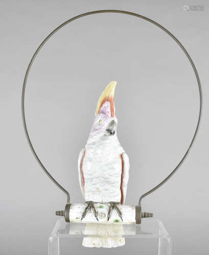 A 19th Century German porcelain figure of a cockatoo within its own brass ring, in the Meissen