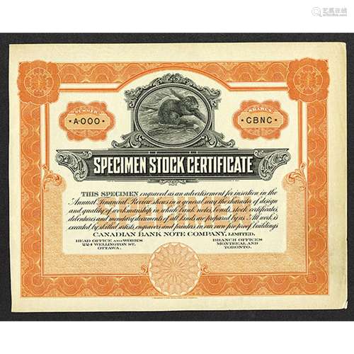 Canadian BNC Specimen stock Certificate, ca. 1910-30.