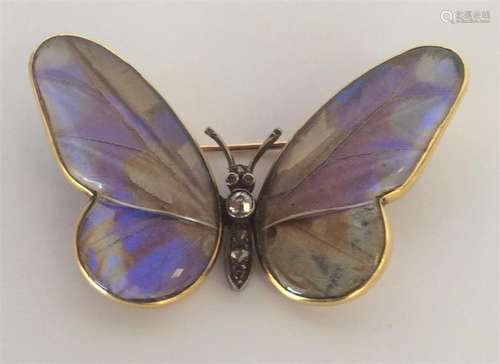 BREVETE: An attractive gold butterfly-wing brooch