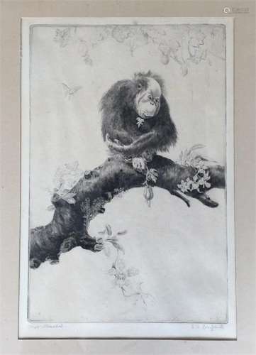 A framed and glazed signed etching depicting a chi