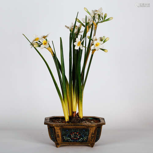 CHINESE CLOISONNE PLANTERS POT