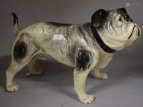 Bulldog anglais en céramique, yeux en verre. H. :...