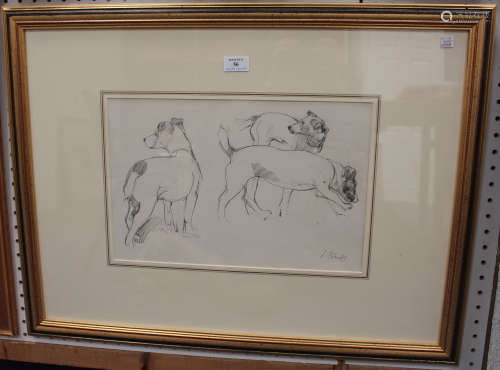 British School - Studies of Jack Russell Terriers, 20th century pencil, indistinctly signed, 26.