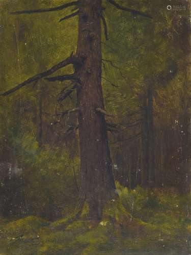 Julius Adam, 1852-1913 Munich, tree study, oil/ painting