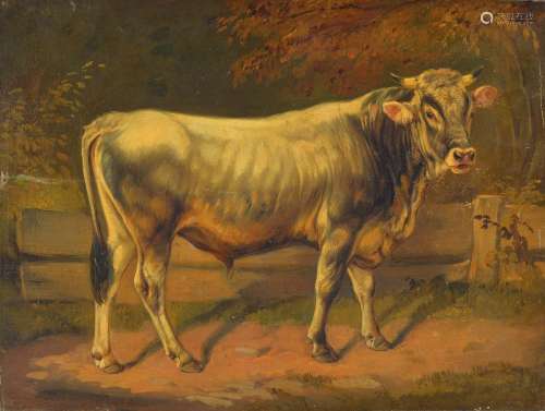 Benno Raffael Adam, 1812 Munich-1892 Kelkheim,bull to