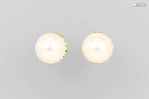 Pair of 14 kt gold earrings with cultured akoya pearls