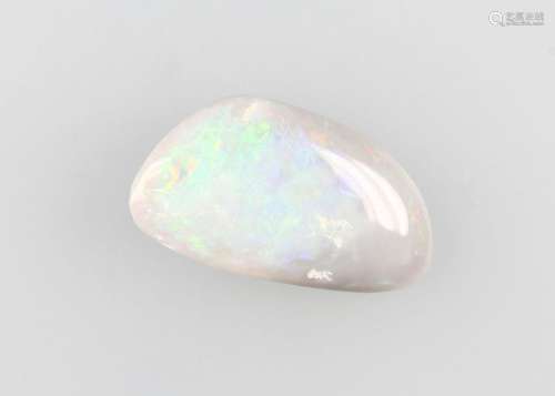 Boulder-opal