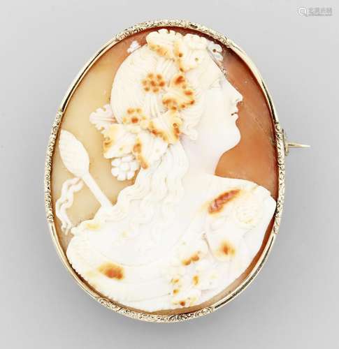 14 kt gold brooch with shell cameo