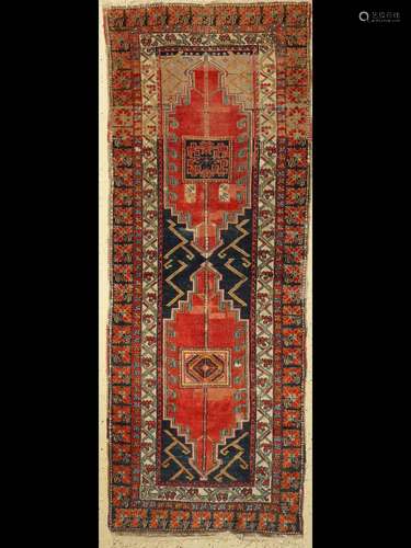 Anatolian 'Runner',