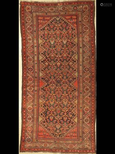 Malayer Rug,