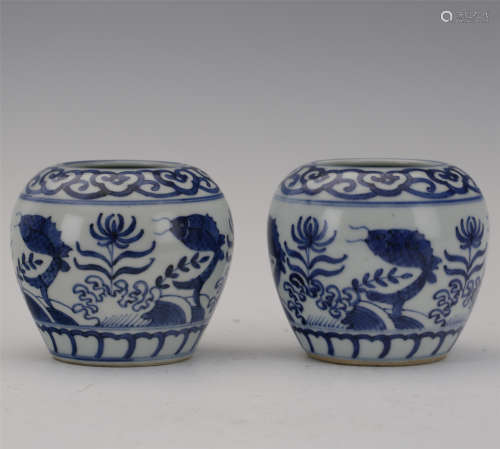 PAIR OF CHINESE PORCELAIN BLUE AND WHITE FISH ANS WEED JARS