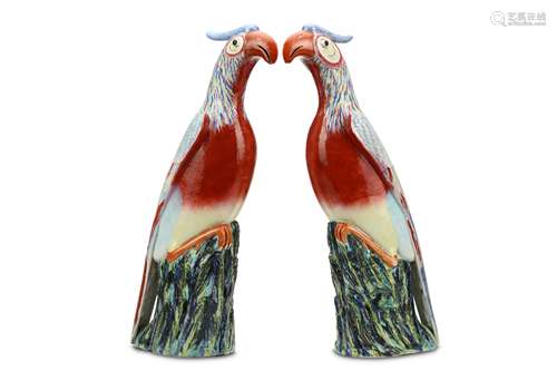 A PAIR OF CHINESE FAMILLE ROSE PHEASANTS. Qing Dynasty, 19th Century. Each with shaded iron-red