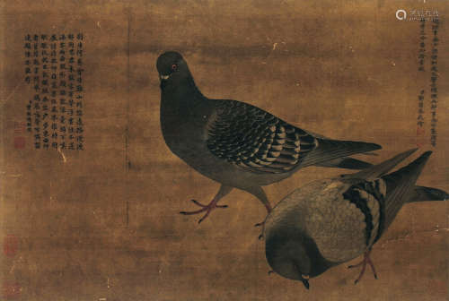 鄂尔泰（1677～1745） 鸽子 立轴 水墨绢本