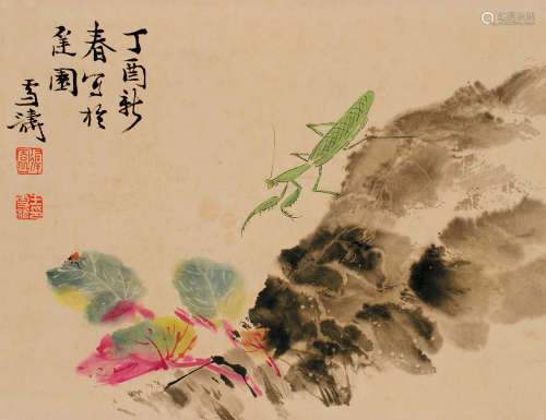 王雪涛（1903～1982） 螳螂图 立轴 设色纸本