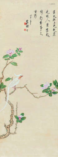 谢稚柳（1910～1997） 白绶带 立轴 设色纸本